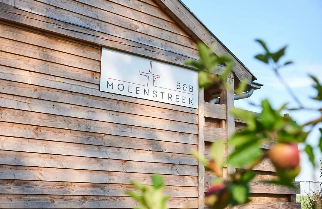 B&B Molenstreek-1